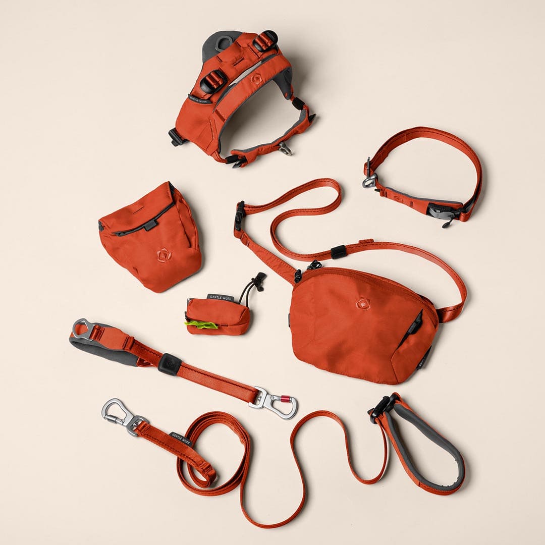 Pawfect Travel Bundle - Canyon