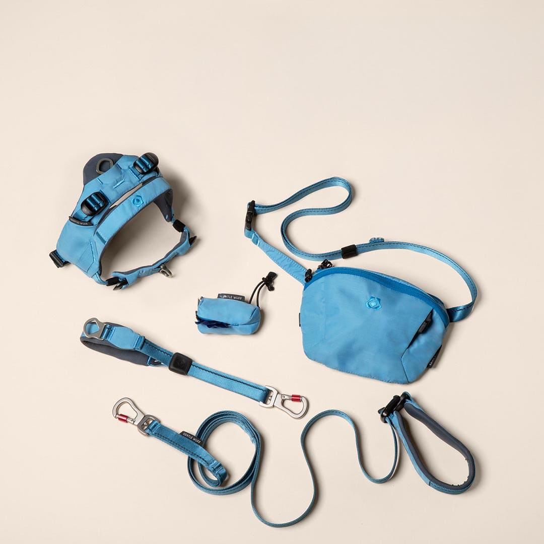 stroll dog City Stroll Bundle - Coast