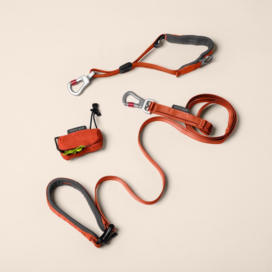 Daily Walk Bundle - Canyon