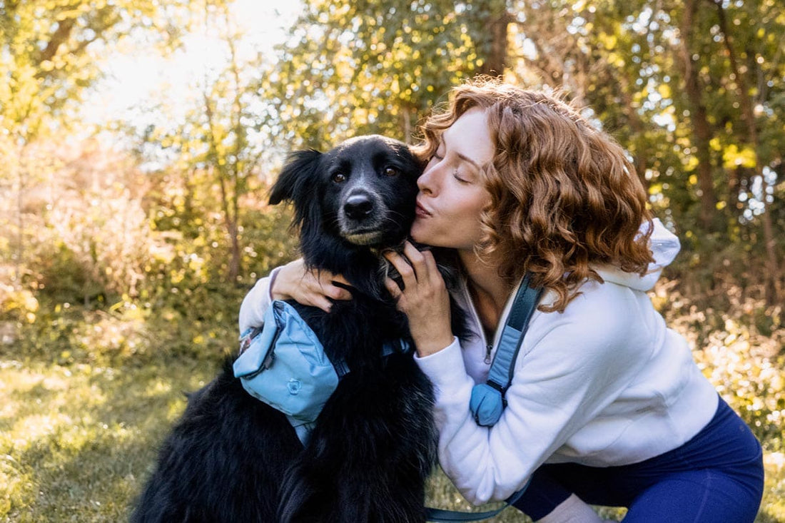 7 Small Habits That Strengthen Your Bond with Your Dog