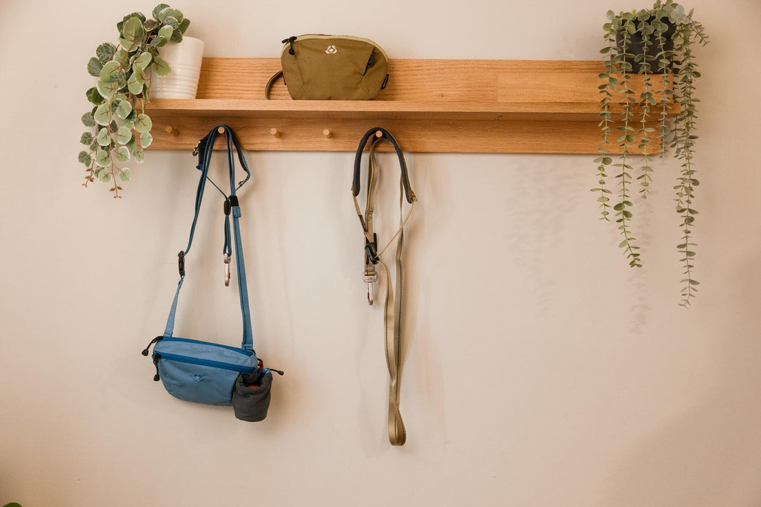 7 Dog Walking Essentials Every Owner Needs