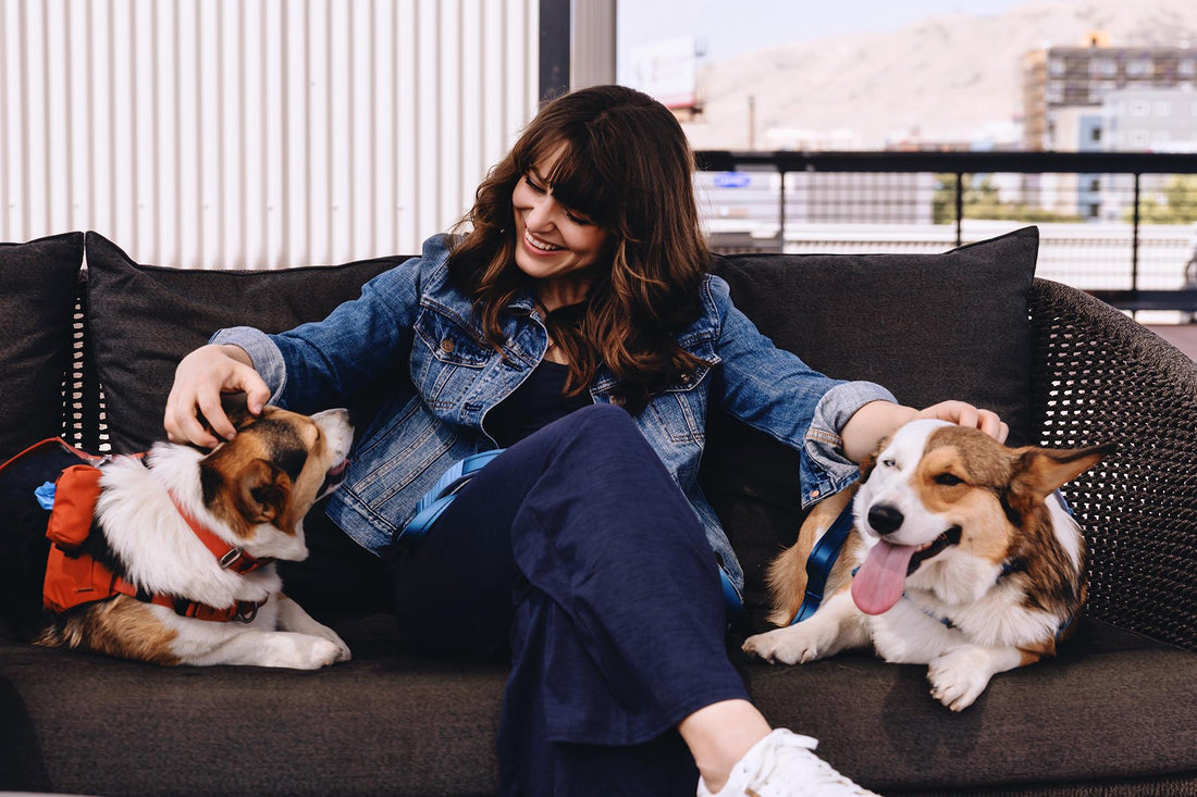 Why We Started Gentle Wuff