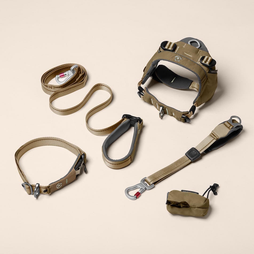 Pack Life Bundle - Grove