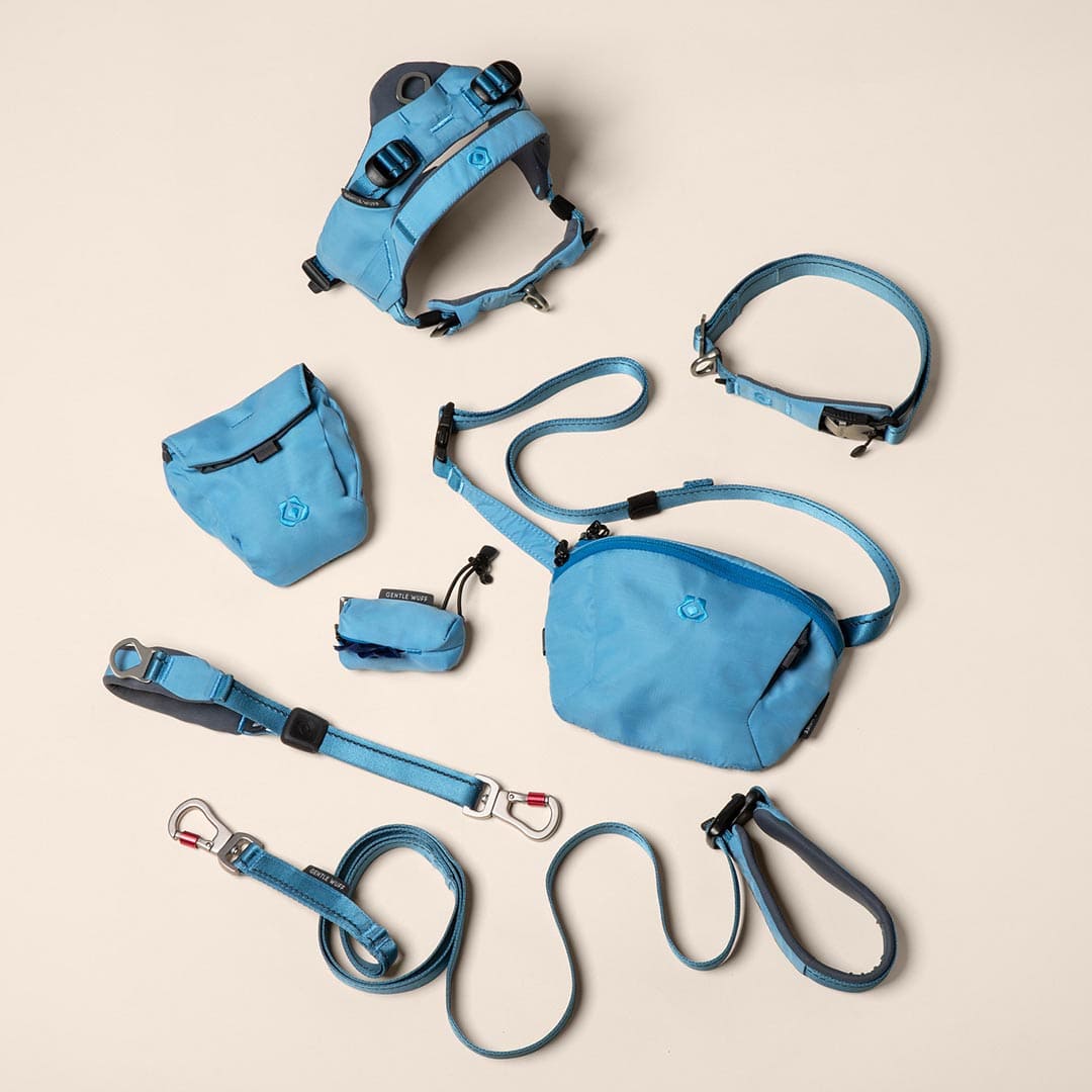 Pawfect Travel Bundle - Coast