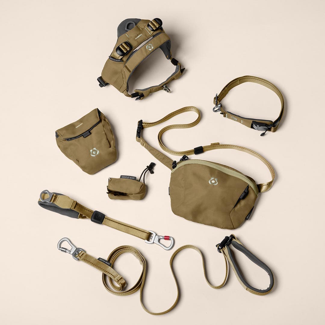 Pawfect Travel Bundle - Grove