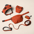 Collection of orange dog accessories including a harness, leash, and pouches on a beige background.