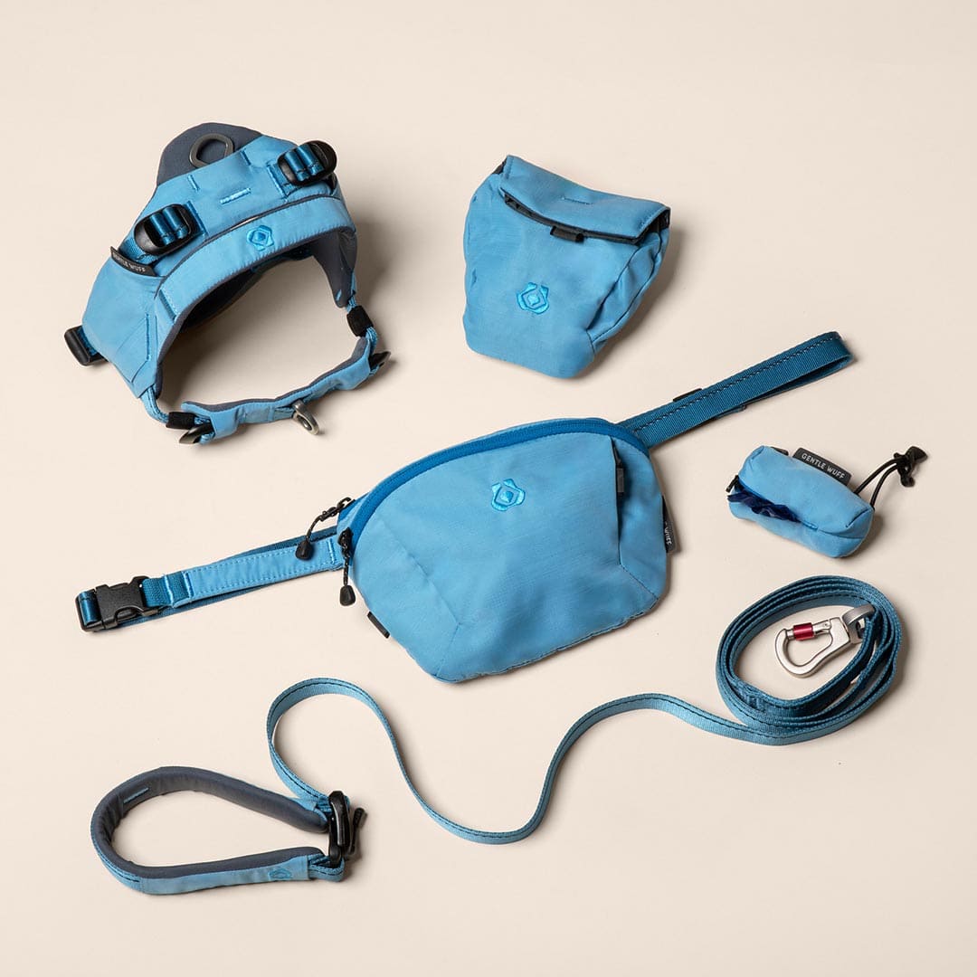 Puppy Days Bundle - Coast