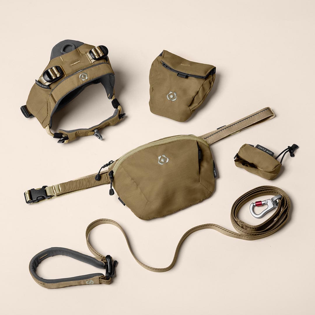 Puppy Days Bundle - Grove