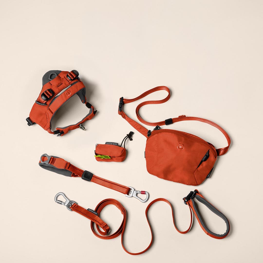 City Stroll Bundle - Canyon