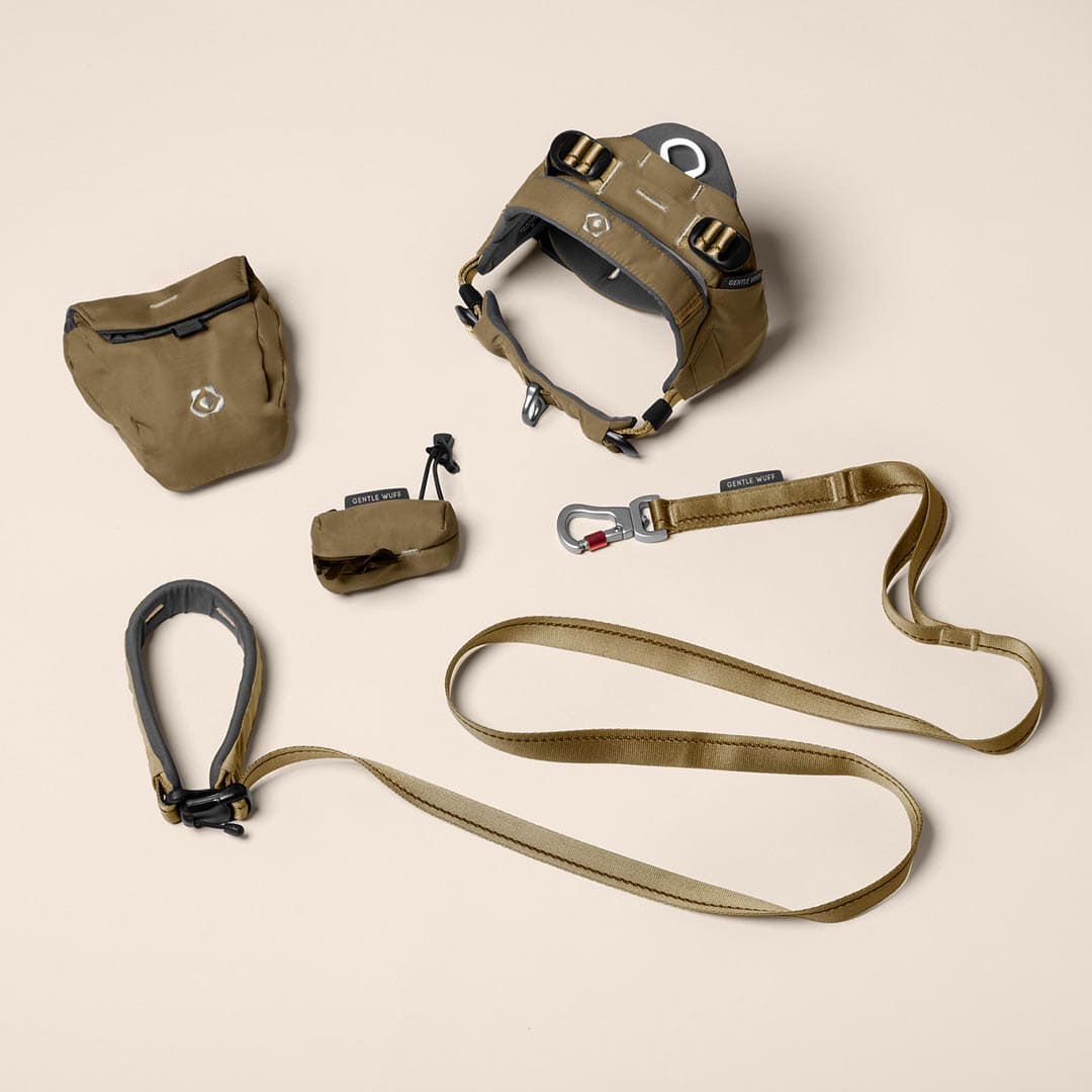 Trail Explorer Bundle - Grove