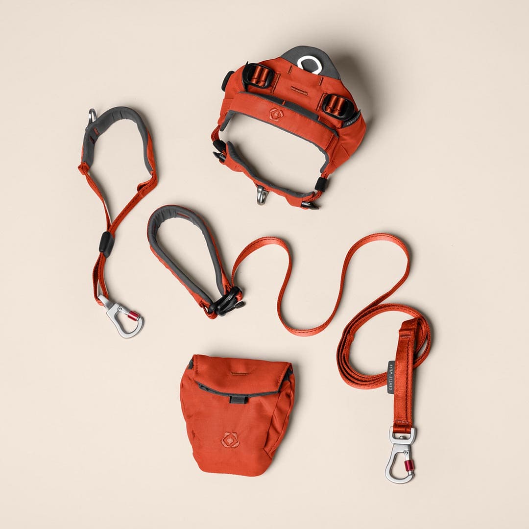 Training Tails Bundle - Canyon