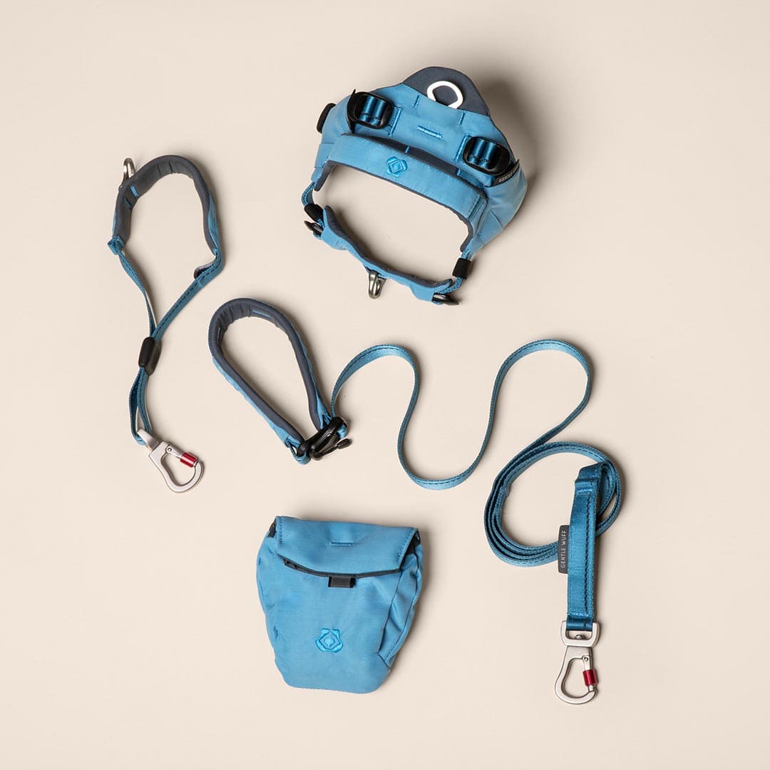 Training Tails Bundle - Coast