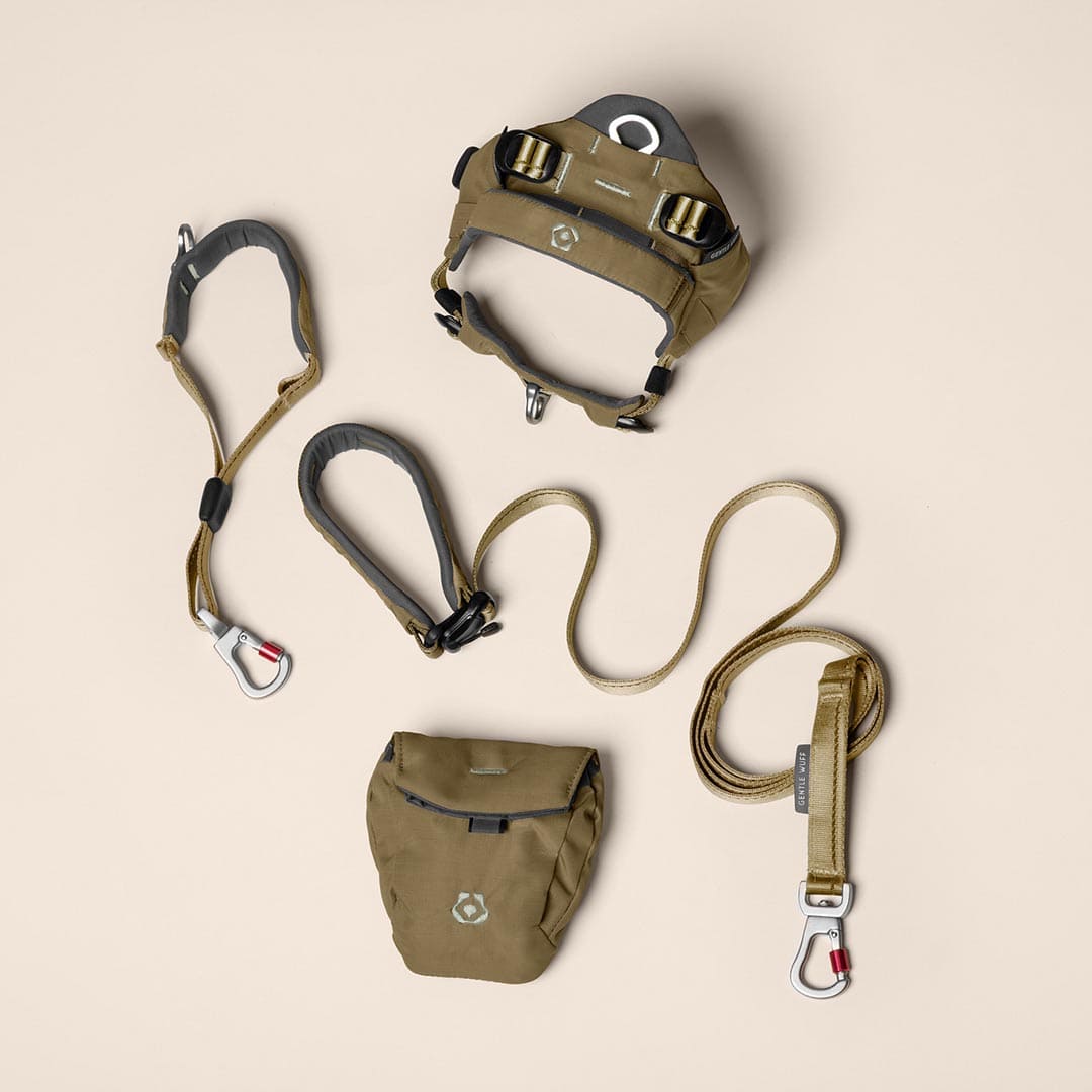 Training Tails Bundle - Grove