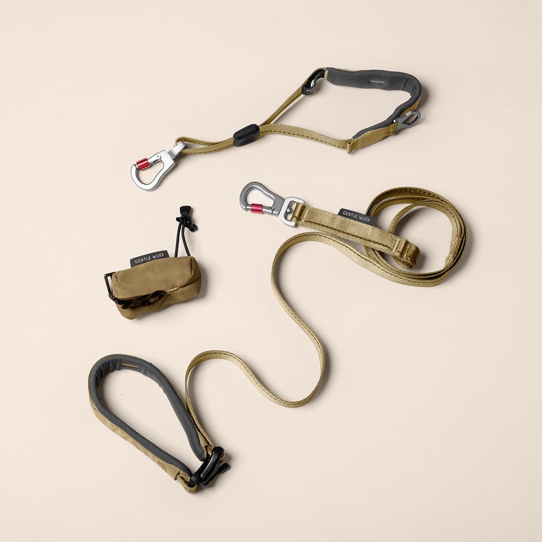 Daily Walk Bundle - Grove