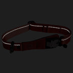 Reflective dog collar on a black background