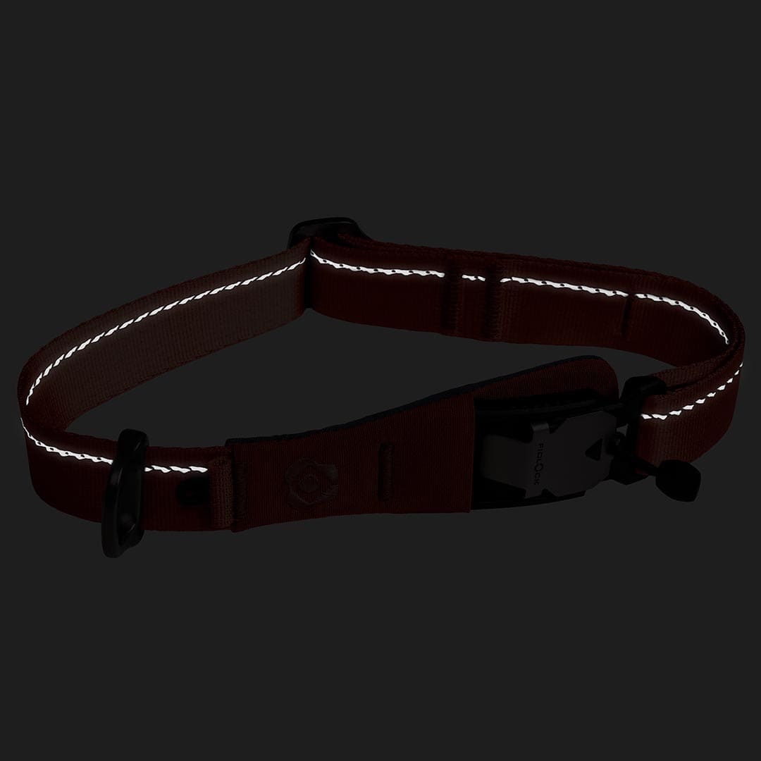Reflective dog collar on a black background