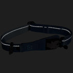 Reflective dog collar on a black background