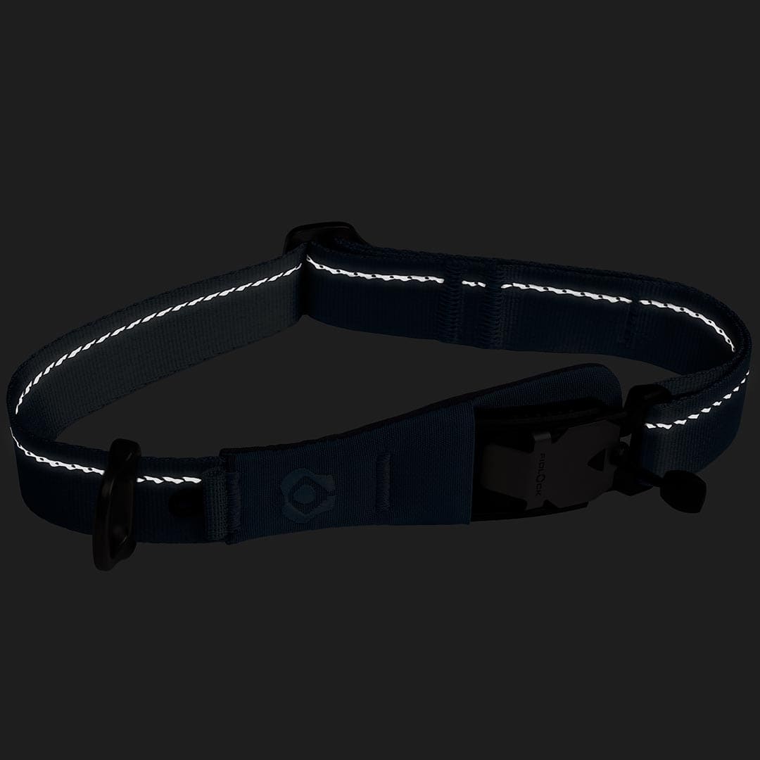 Reflective dog collar on a black background