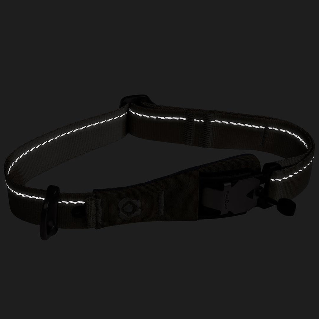 Reflective dog collar on a black background