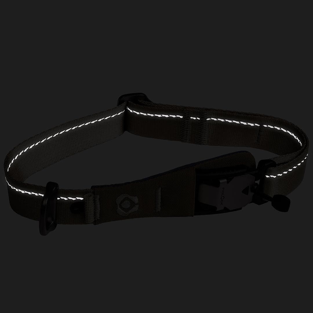 Reflective dog collar on a black background