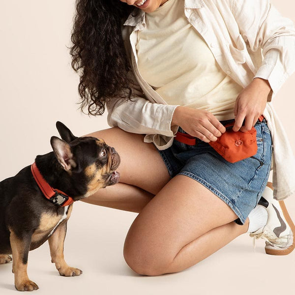Woman sitting on the floor with a small dog, both wearing red collars, on a plain background.