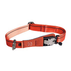 Orange dog collar with metal buckle on a white background