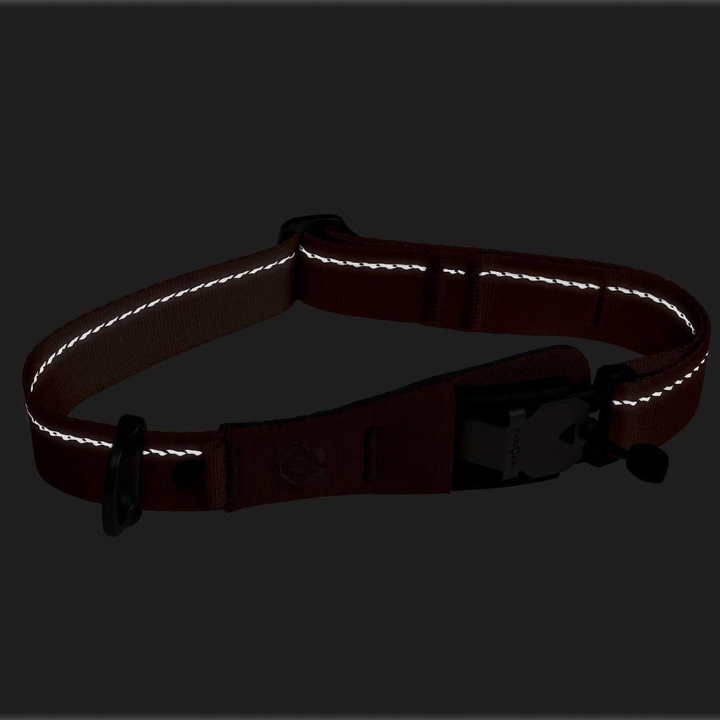 Reflective dog collar on a black background