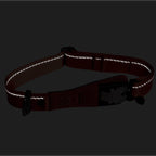 Reflective dog collar on a black background