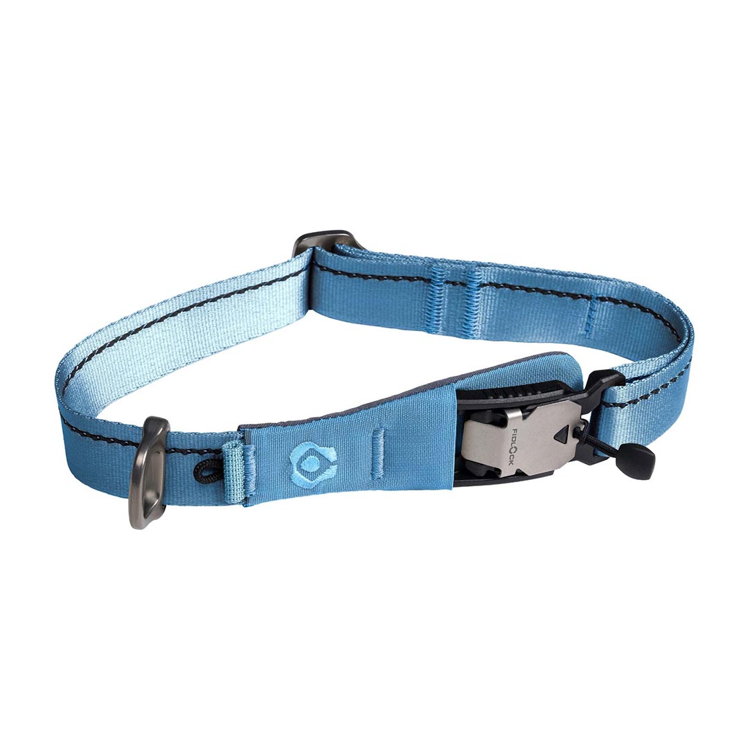 Blue dog collar with a metal buckle on a white background