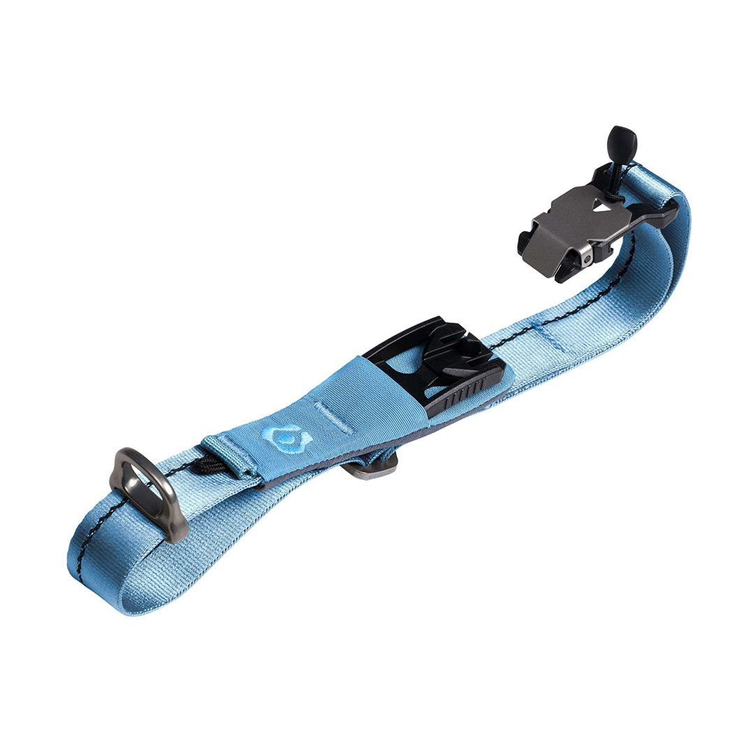 Blue dog collar with black hardware on a white background