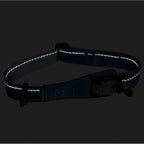 Reflective dog collar on a black background