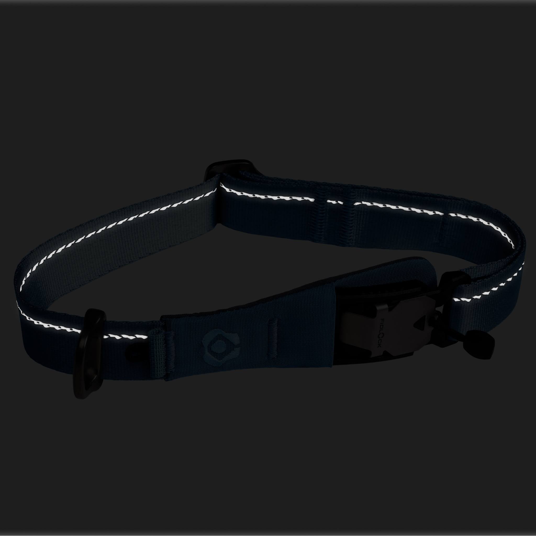 Reflective dog collar on a black background