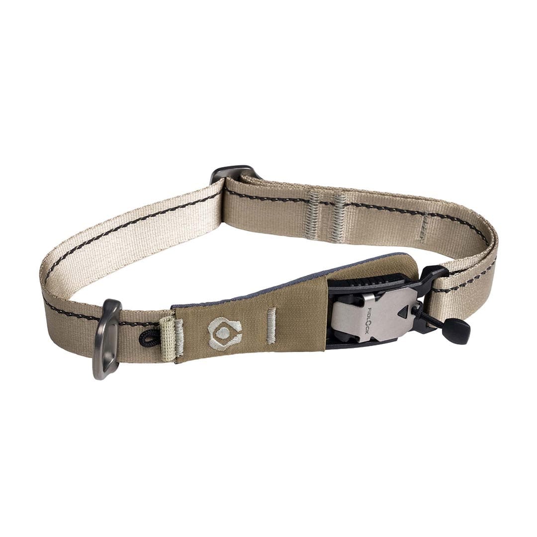 Dog collar with a metal clasp on a white background