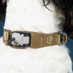 Dog collar with Fidlock clasp on a white dog