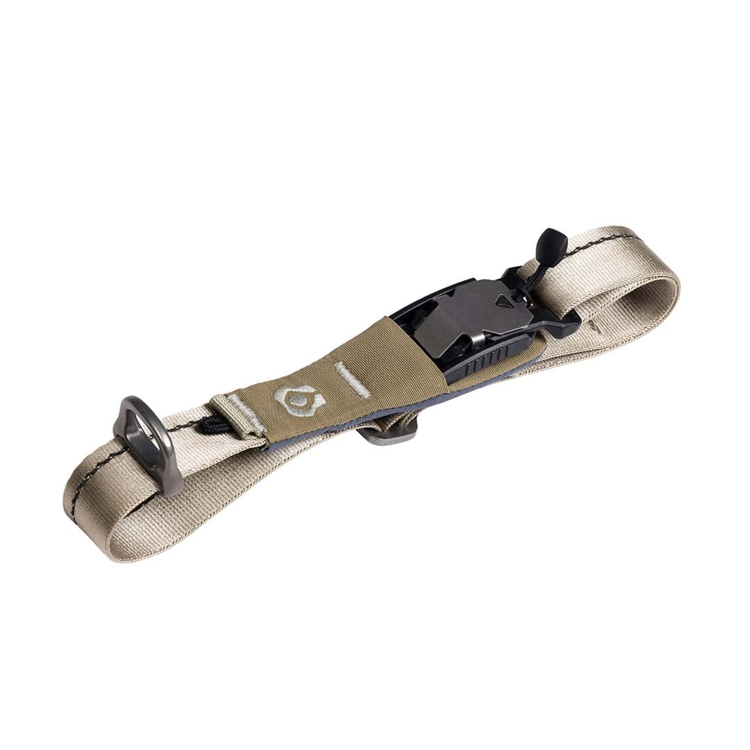 Dog collar with a buckle on a white background
