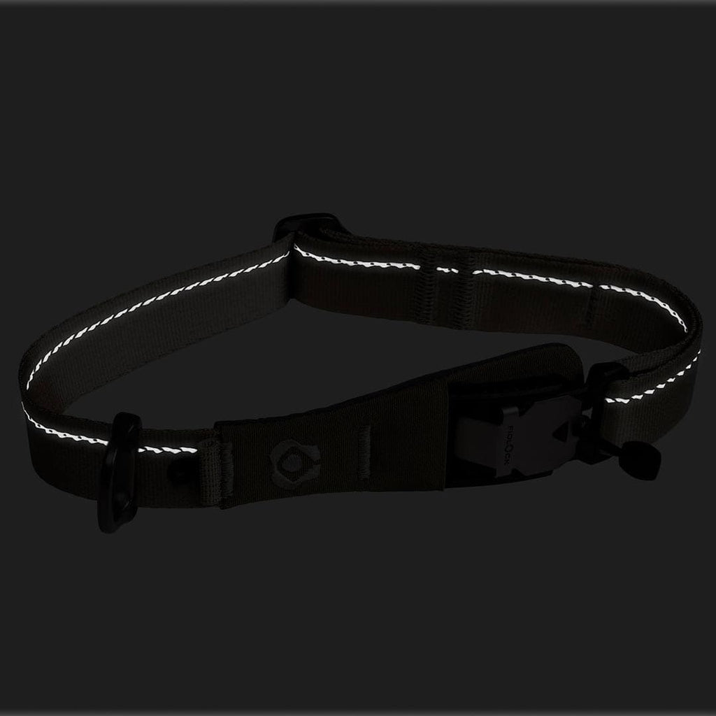 Reflective black dog collar on a black background