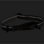 Reflective black dog collar on a black background