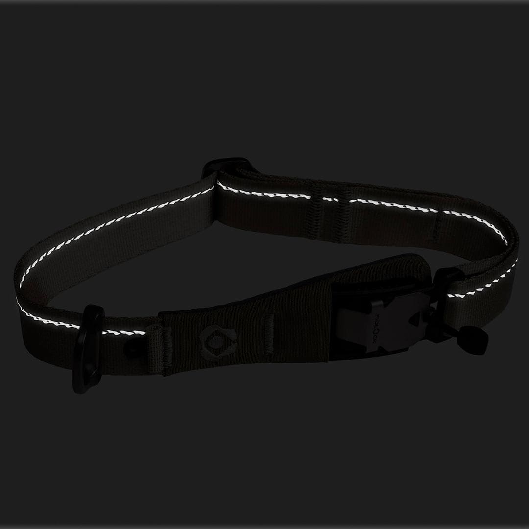 Reflective black dog collar on a black background