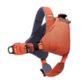 Orange dog harness with black straps on a white background