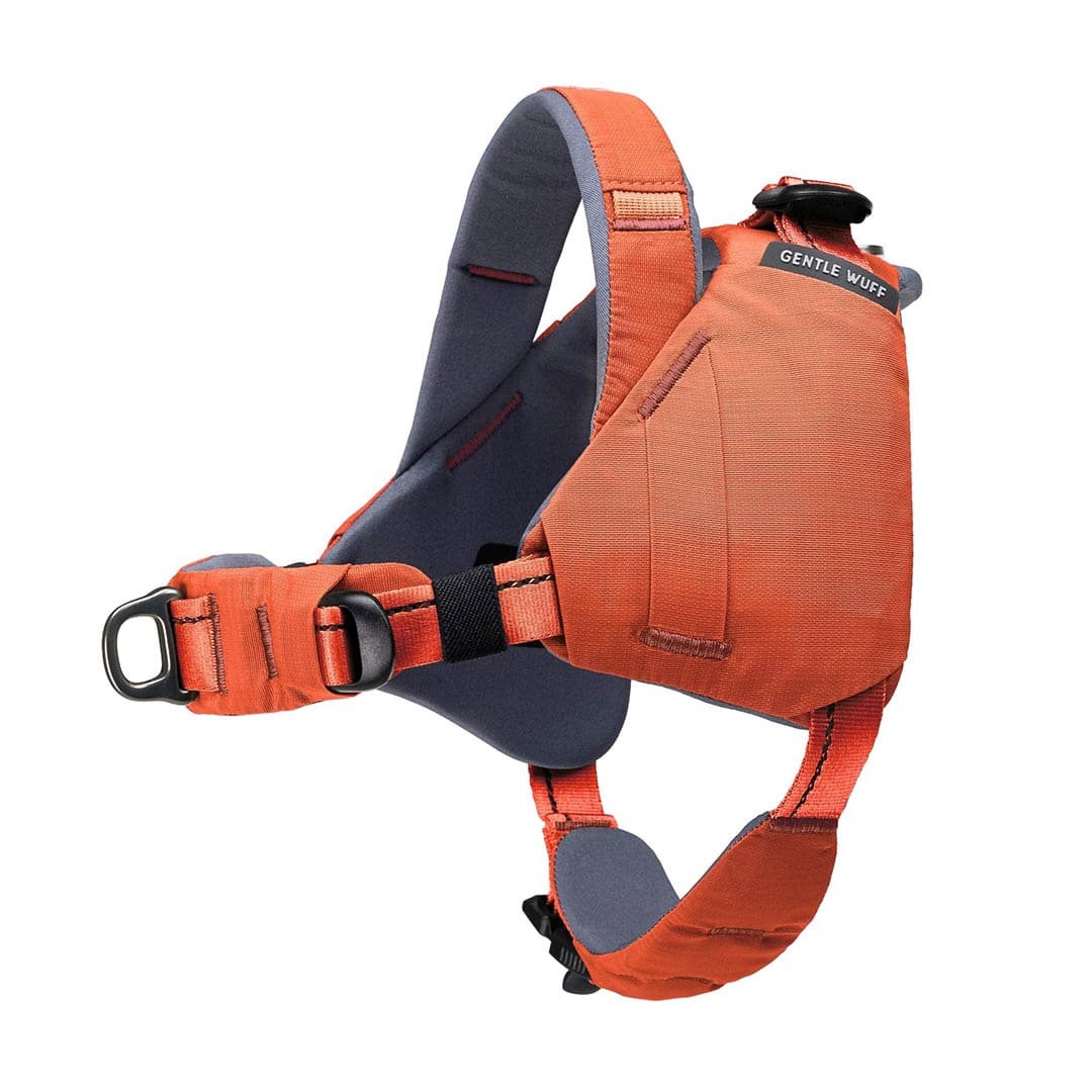 Orange dog harness with black straps on a white background