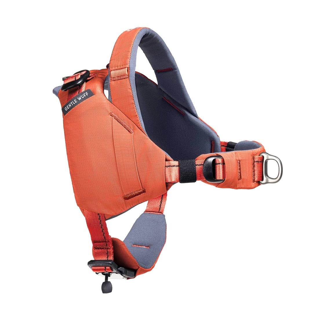 Orange dog harness with gray padding on a white background