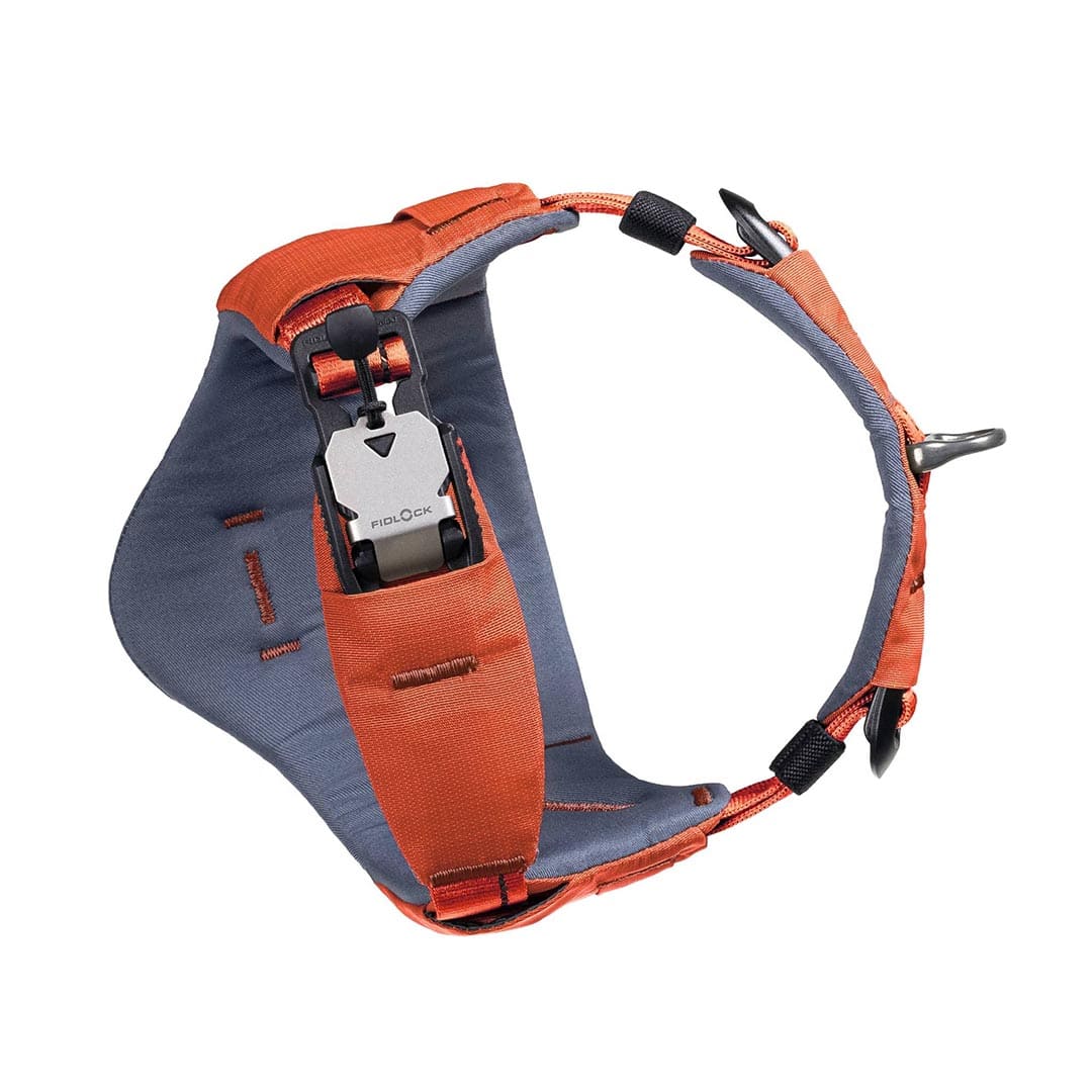 Orange and gray dog harness on a white background