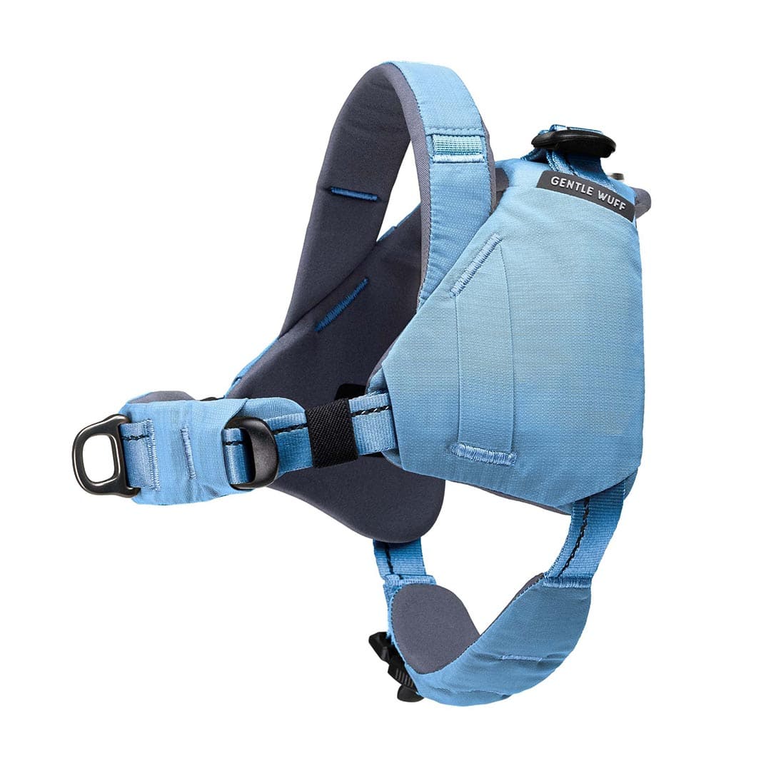 Blue dog harness with black hardware on a white background