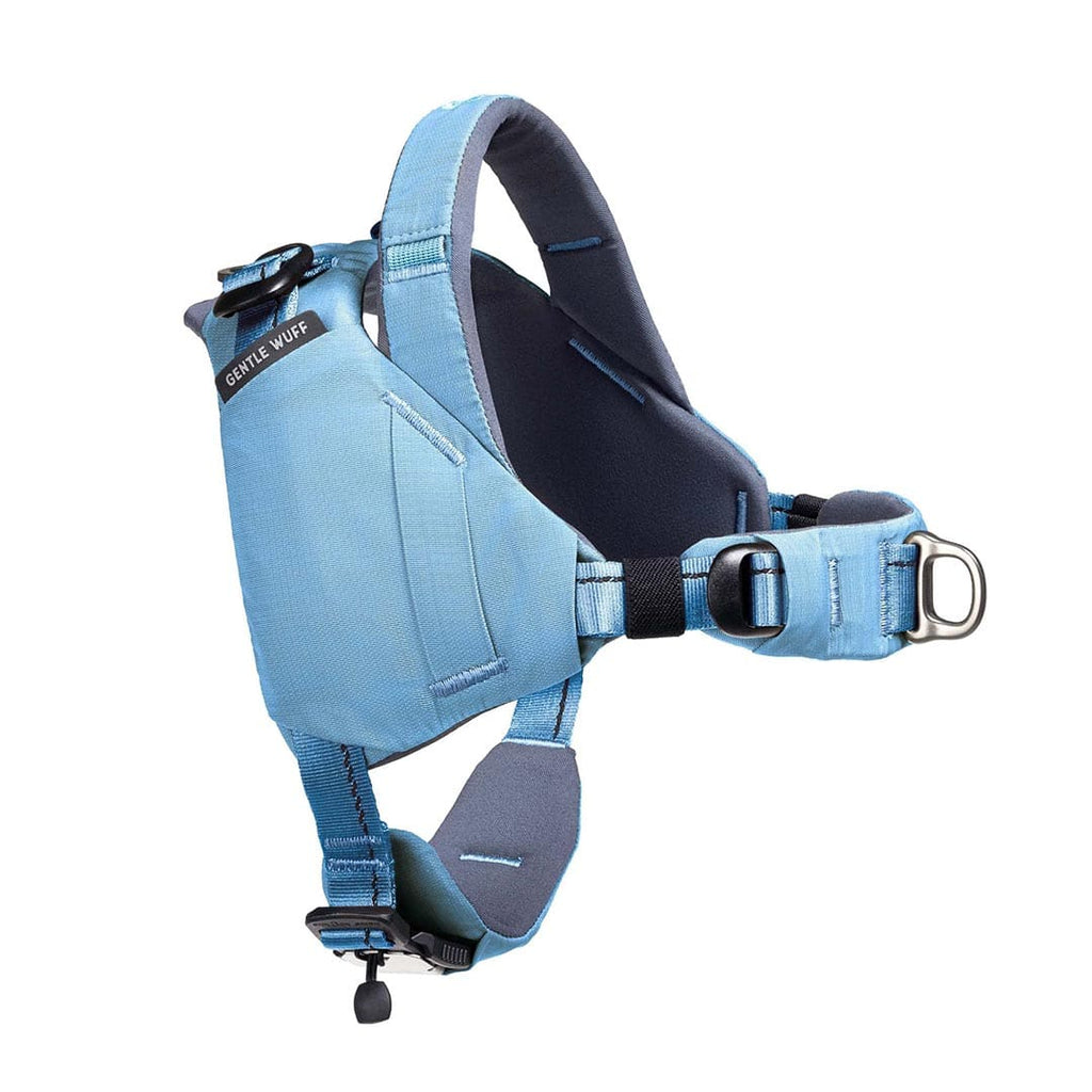 Blue dog harness on a white background