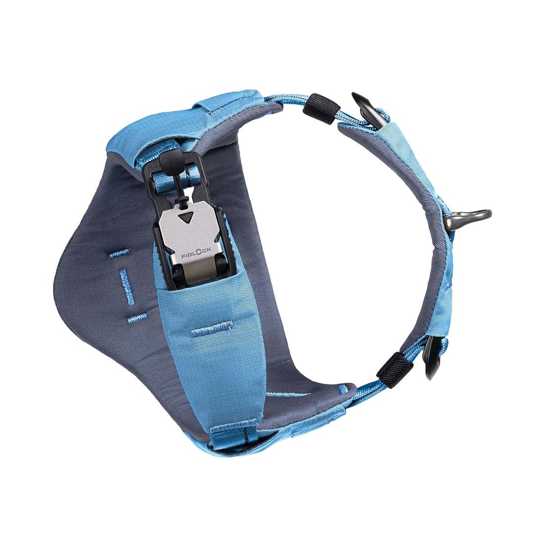 Blue and gray dog harness on a white background