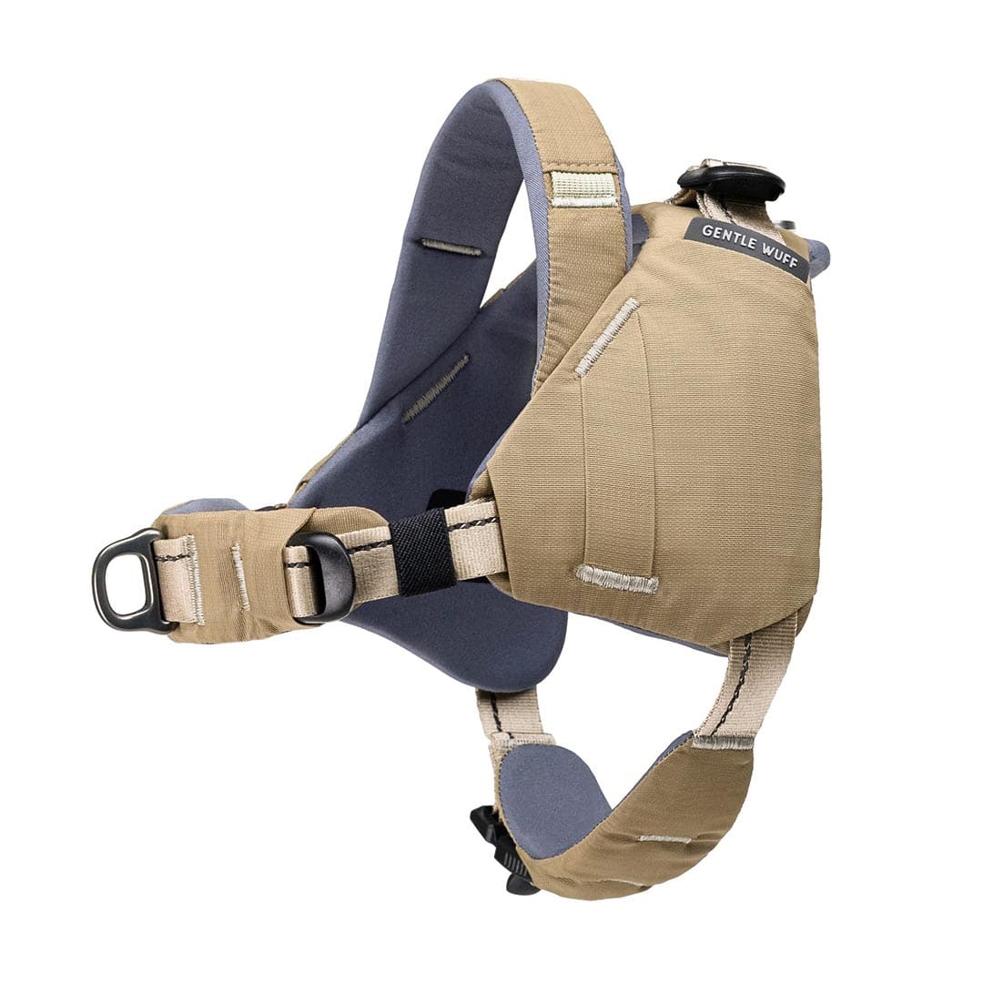 Tan and blue dog harness with 'Gentle Leader' branding on a white background