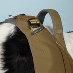 Dog wearing a brown harness with 'Gentle Wuff' label on a light blue background