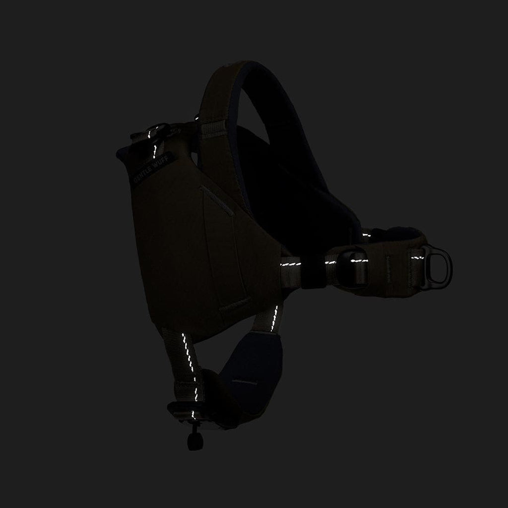 Dark leather harness with reflective elements on a black background