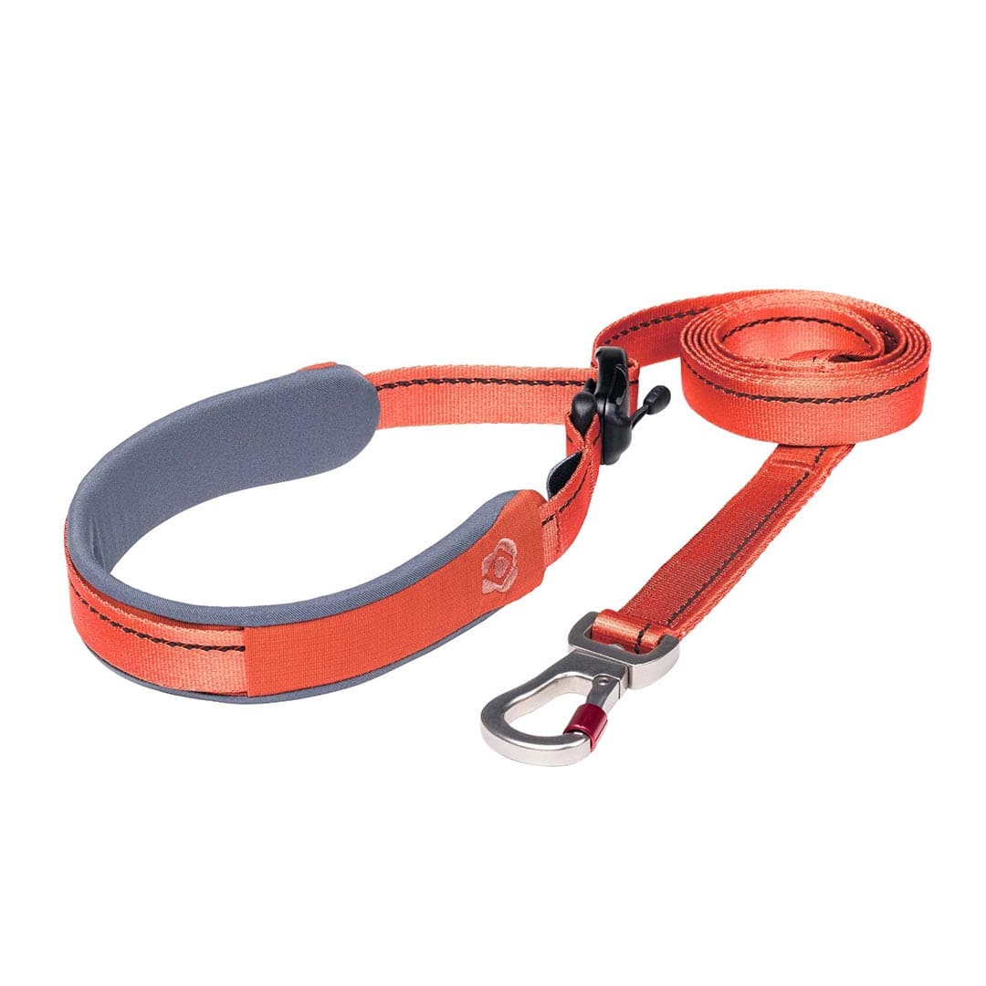 Ready-Go Leash