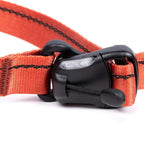 Close-up of an orange dog collar with a black plastic buckle on a white background